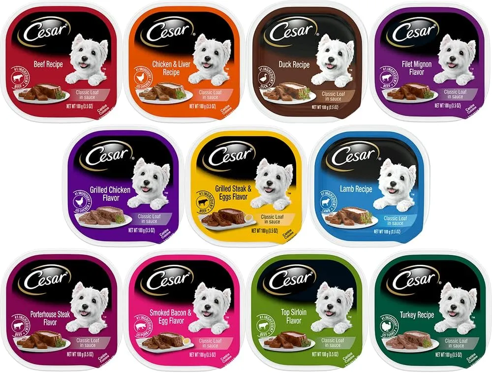 Cesar Classic Loaf in Sauce Wet Dog Food - 11 Flavor Variety Bundle, 3.5 Ounces Each - Pack of 11