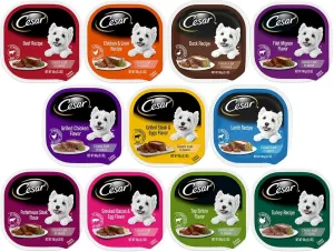 Cesar Classic Loaf in Sauce Wet Dog Food - 11 Flavor Variety Bundle, 3.5 Ounces Each - Pack of 11