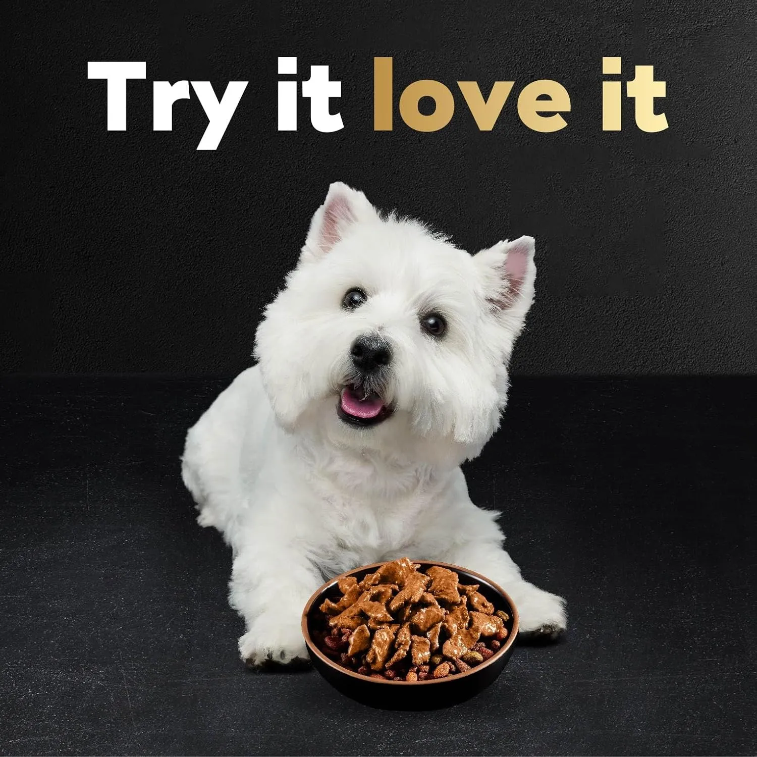 Cesar Filets in Gravy Wet Dog Food Filet Mignon Flavor, 1.76 oz. Mini-Pouch (10 Count, Pack of 2)