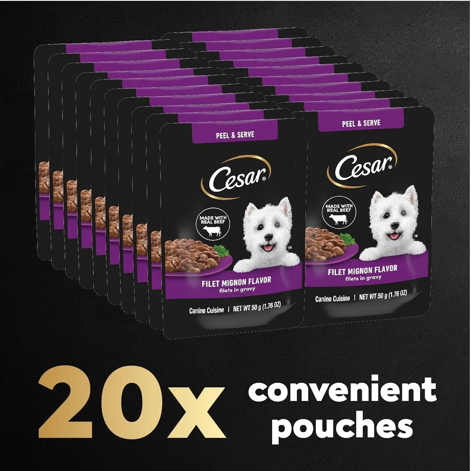 Cesar Filets in Gravy Wet Dog Food Filet Mignon Flavor, 1.76 oz. Mini-Pouch (10 Count, Pack of 2)