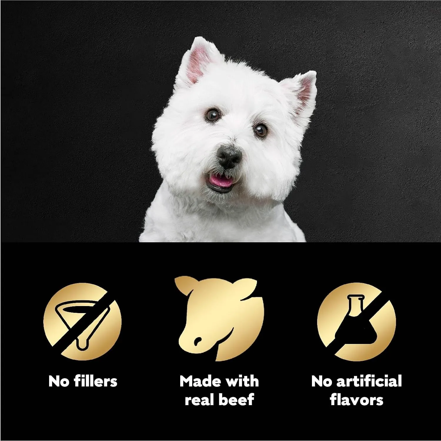 Cesar Filets in Gravy Wet Dog Food Filet Mignon Flavor, 1.76 oz. Mini-Pouch (10 Count, Pack of 2)
