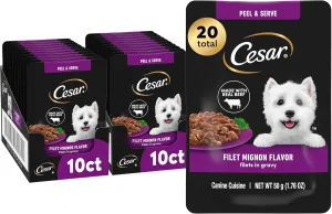 Cesar Filets in Gravy Wet Dog Food Filet Mignon Flavor, 1.76 oz. Mini-Pouch (10 Count, Pack of 2)