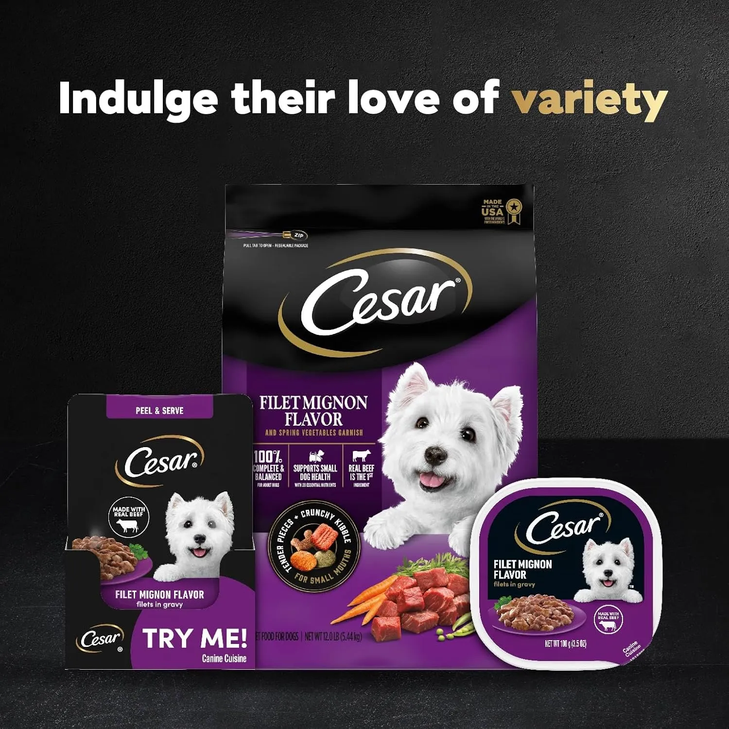 Cesar Filets in Gravy Wet Dog Food Filet Mignon Flavor, 1.76 oz. Mini-Pouch (10 Count, Pack of 2)