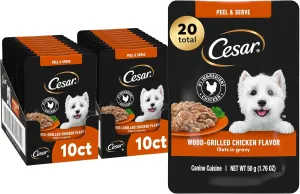 Cesar Filets in Gravy Wet Dog Food Wood-Grilled Chicken Flavor, 1.76 oz. Mini-Pouch (10 Count, Pack of 2)