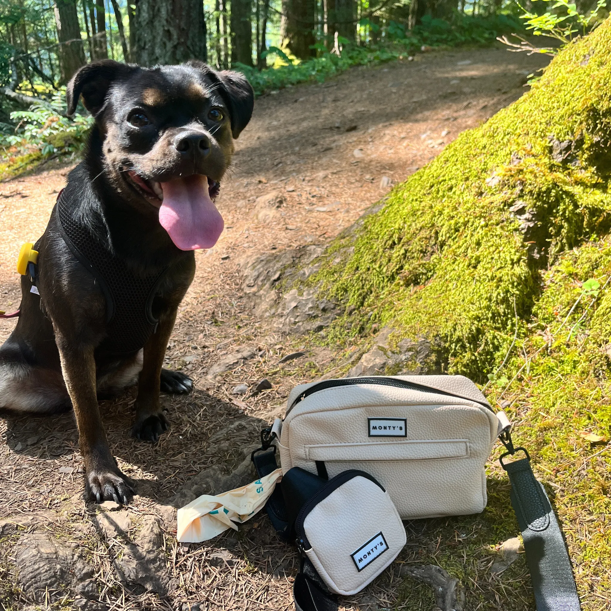 Dog Walking Crossbody Bag with Treat Pouch and Poop Bag Dispenser