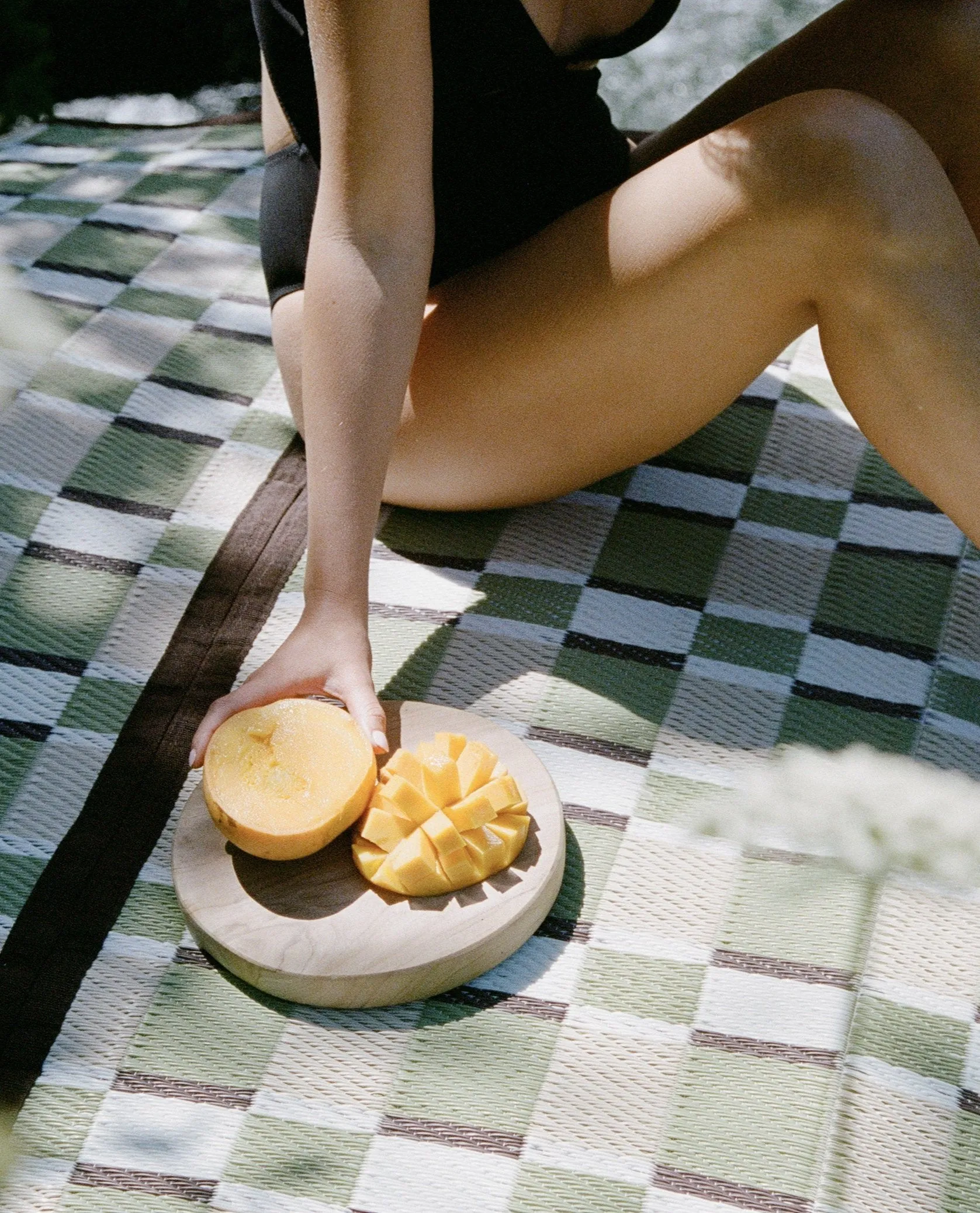 Fern Picnic Mat