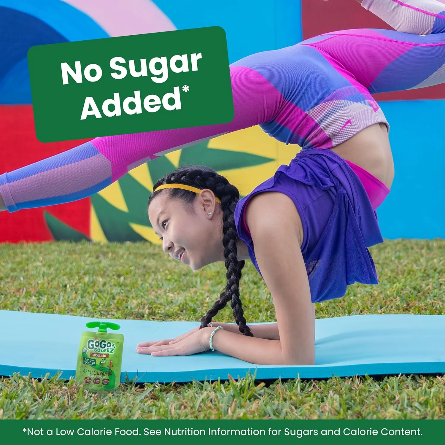 GoGo squeeZ Organic Applesauce and Fruit Puree, Variety Pack, Apple, Strawberry & Banana, 3.2 oz (Pack of 12), Unsweetened Organic Fruit Snacks for Kids, No Gluten, Nut & Dairy, BPA Free Pouches