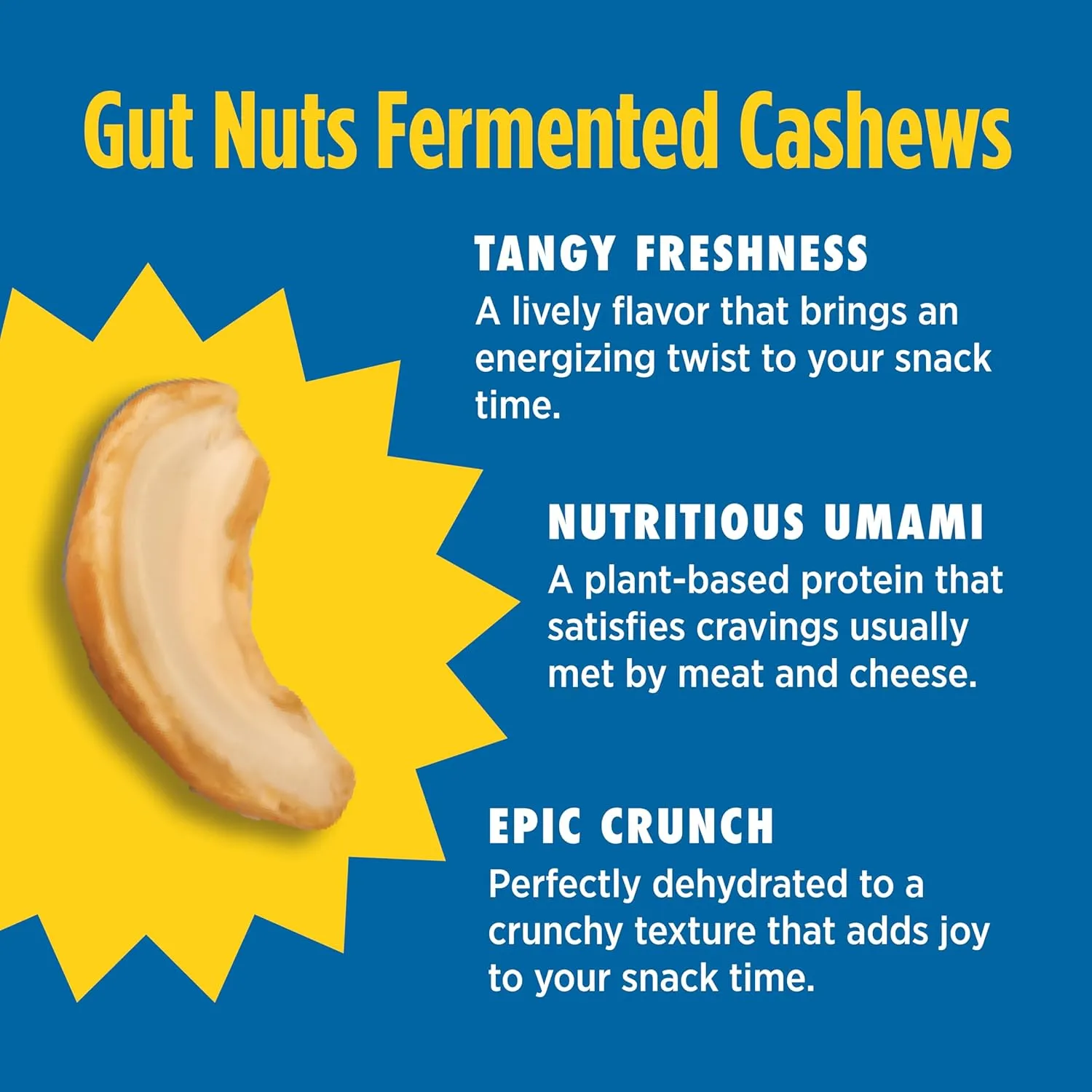 Philosopher Foods Gut Nuts - Fermented Cashews for Gut Health - Tangy, Umami, & Salty Flavors - Super Crunchy Low Carb Keto Snacks - Low Sugar Prebiotic & Postbiotic Cashew Snacks - 3oz Pouch (3 Pack)