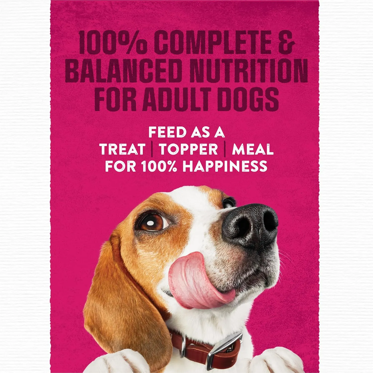 Purina Moist and Meaty Steak Flavor Soft Dog Food Pouches - 36 ct. Pouch